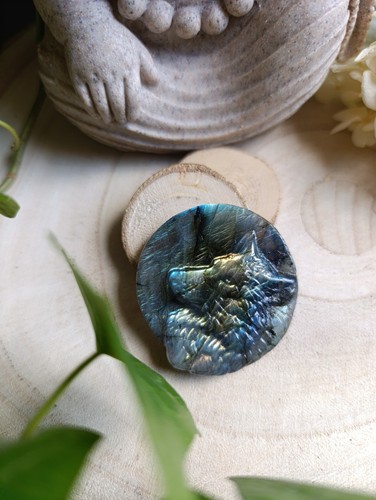 Cabochon tête loup - de,