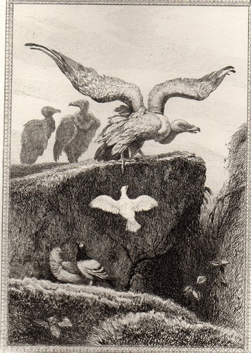 Eau forte fables de - eau,