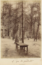 Picnic area Umbrella, Bains-les-Bains (Vosges). 1888 albumen print.