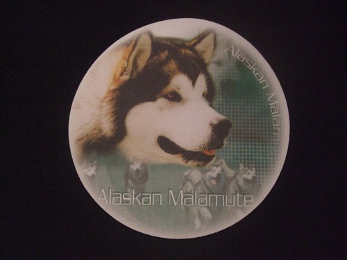 Tapis souris alaskan - tapis,