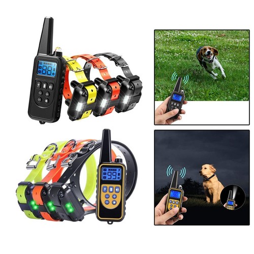 Collier dressage chien - dressage,