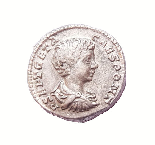 Geta denier princivventvtis - geta, "princivventvtis"