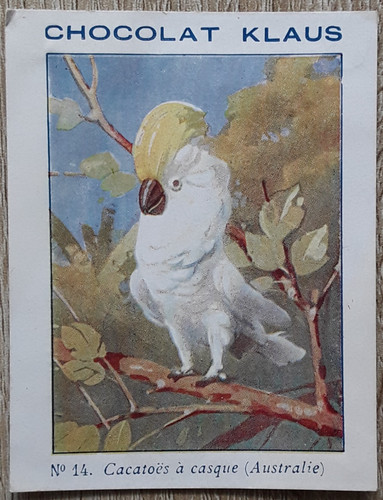 Carte-Chromos-Découpis-CHOCOL