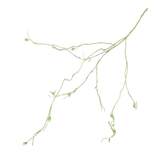 Fausse vigne décorative - fausse,