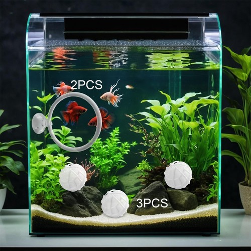 Betta fish exercise ring and - betta,