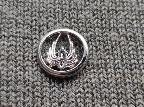 Pin reduction insigne - pin's,