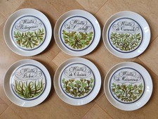 6 Assiettes Huîtres en Porcelaine d'Auteuil  Bistrot Ligne marine