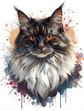 Photo A4 Chat Persan Noir