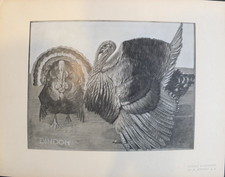 Mathurin MEHEUT : 4 planches