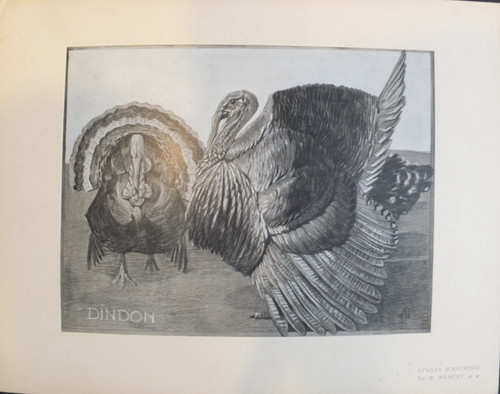 Mathurin meheut 4 planches - 4,