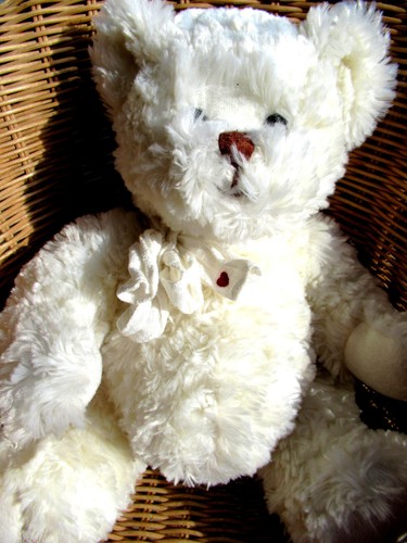 Doudou peluche bukowski - peluche, ours