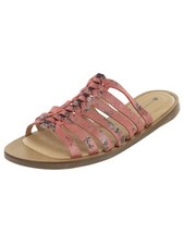 El Naturalista Femmes Tulipe