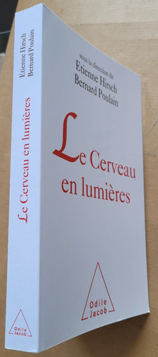 Cerveau lumières e - cerveau,