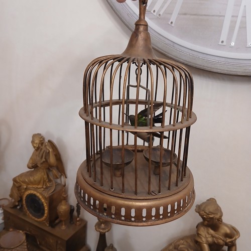 Cage oiseau bird - cage, bird,