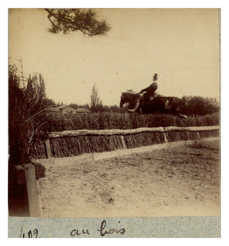 France jaut cheval au - jaut,
