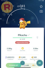 Shiny Pikachu Red Hat Costume