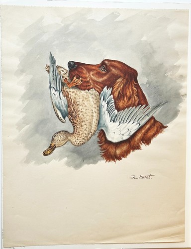 Chasse jean herblet chien - jean,