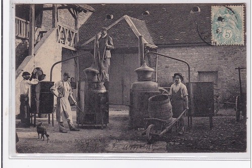 Les vendanges bourgogne - vendanges,