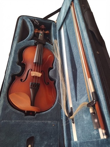 Violon bois ancien - violon,