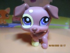 Petshop chien Jack Russel