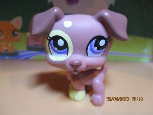 Petshop chien jack russel - chien,