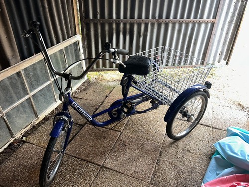 Tricycle gomier adulte - gomier, bleu