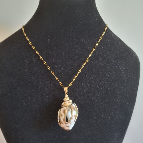 Collier plage coquillage - plage,