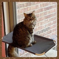 Hamac De Fenêtre Chat