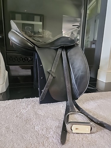 County saddlery the competitor