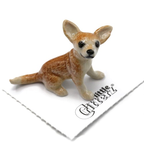 Little critterz chihuahua - little,