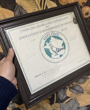Diplôme Colombophilie Colombophile Pigeon Pigeonnier Médaille