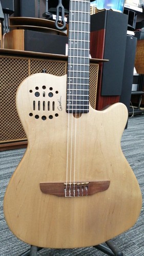 Guitare électrique acoustique