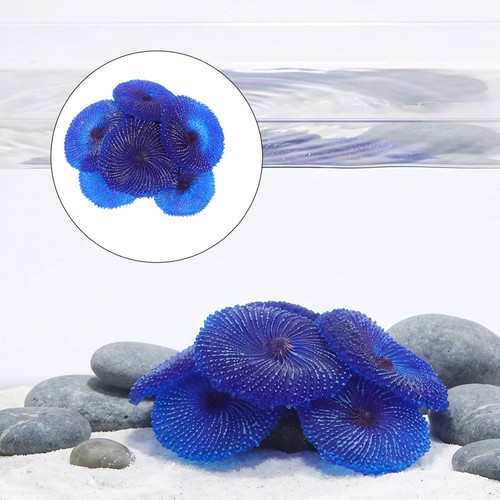 Décoration aquarium - , d'aquarium