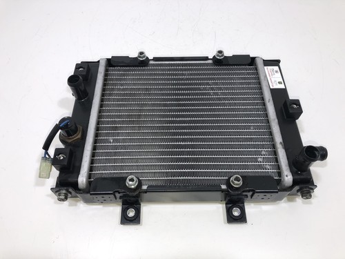 Radiateur eau benelli - radiateur, zenzero