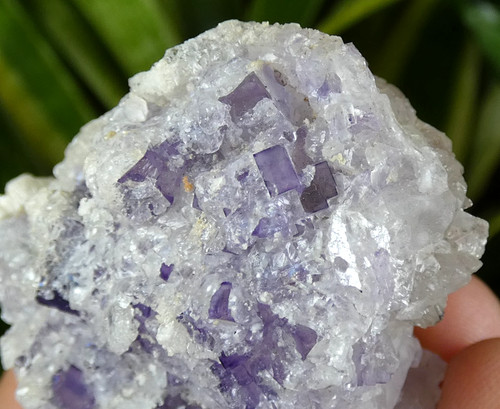 Fluorite violette calcite - fluorite,