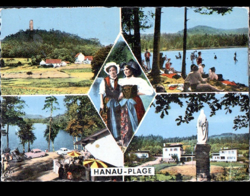 Etang hanau prés bitche - etang,