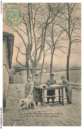 Awep7 0461 ecole - awep7-0461-94,