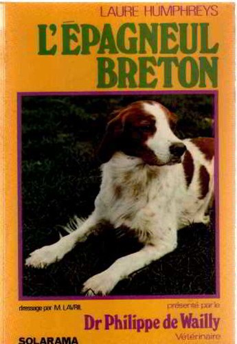 Epagneul breton wailly - breton, |