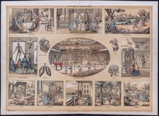 1880 - Anatomie et physiologie