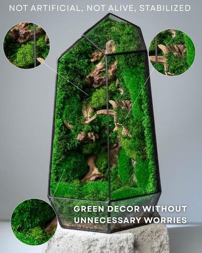 Moss terrarium preserved - moss, terrarium,