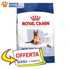 Royal Canin Chien → Adulte