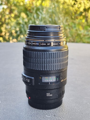 Objectif photo canon macro - photo,