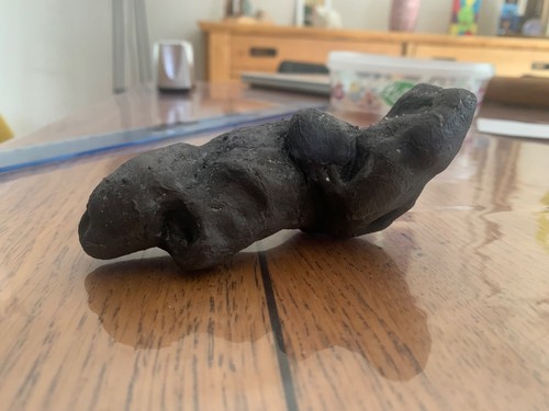 Fossile coprolithe dinosaure - fossile,