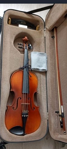 Violon acoustique cordes - acoustique,