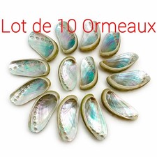 Coquille ormeau - (Lot de 10)