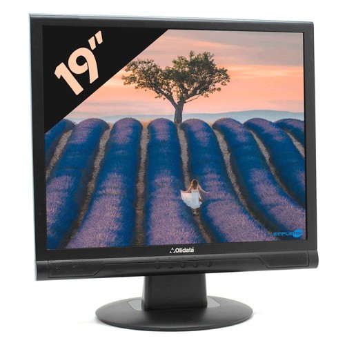 Olidata mr19f05n écran - mr19f05n,