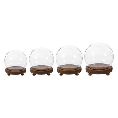 Terrarium vitrine verre - terrarium,