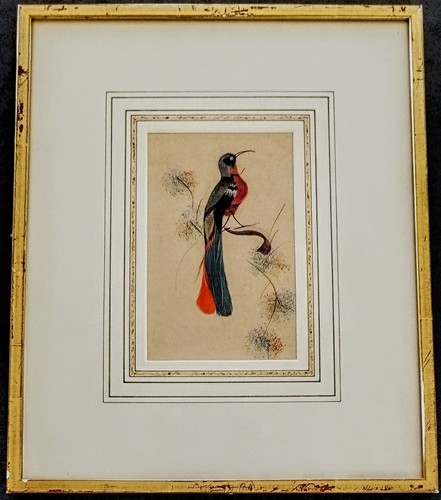 Tableau oiseau paradis - tableau, "oiseau
