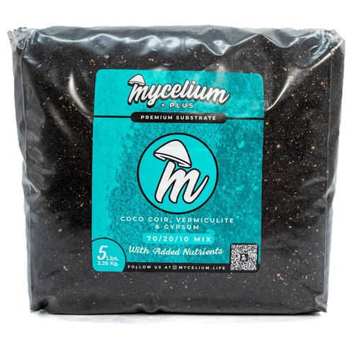 Mycelium plus mushroom growing - mycelium,