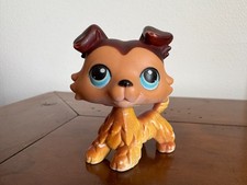 Petshop colley 58 bis de